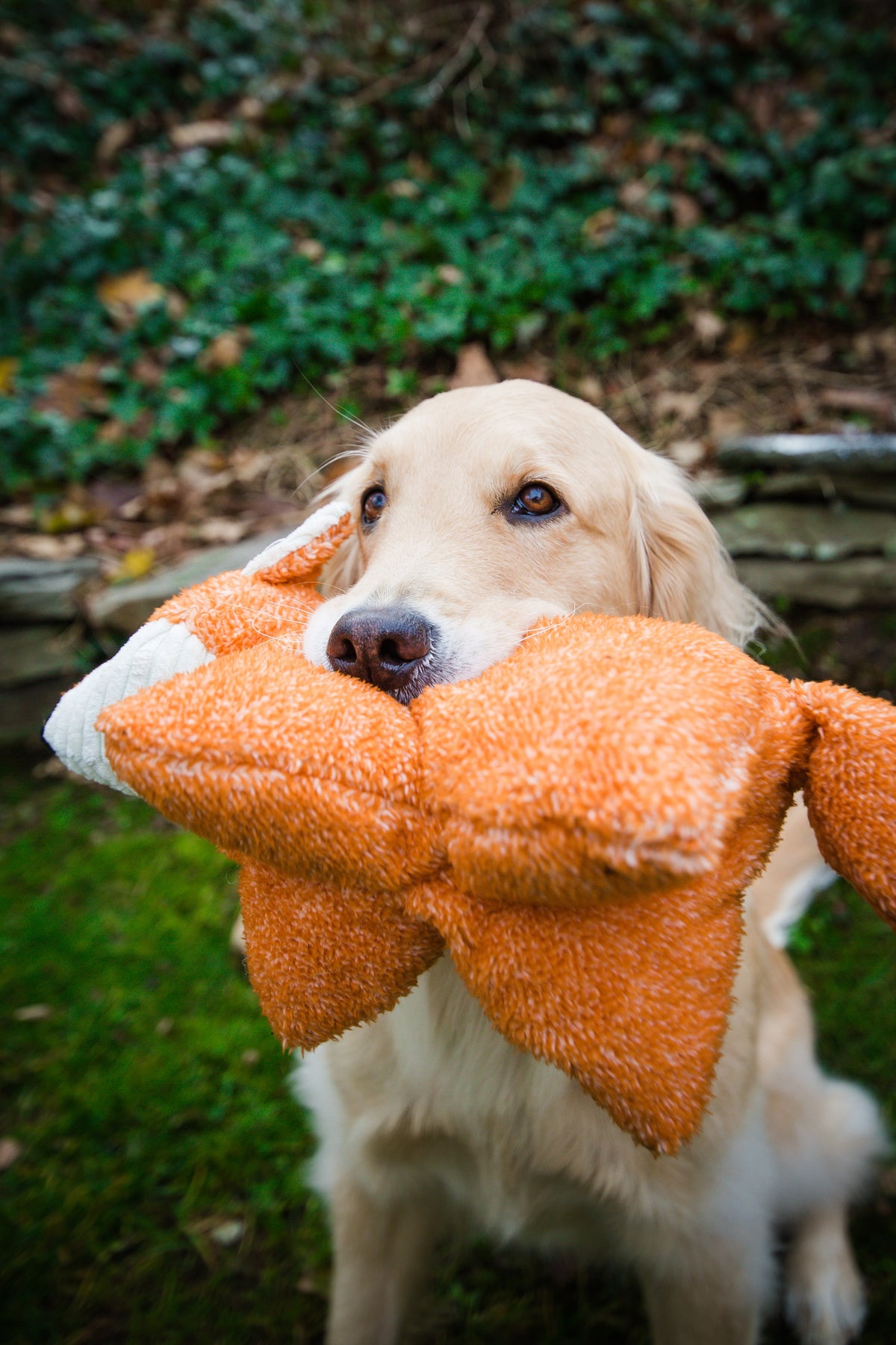 SquooshieTM Fox Plush Dog Toy