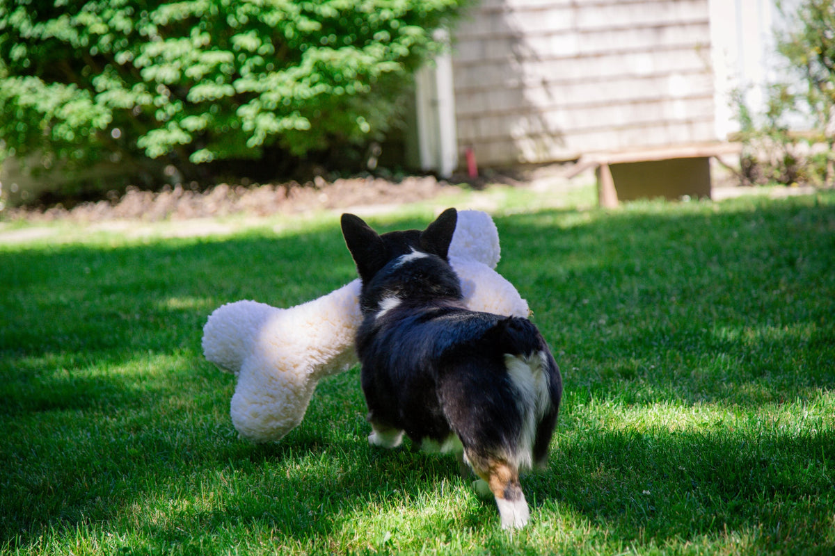 HuggleFleece 2 Plush Bone Dog Toy