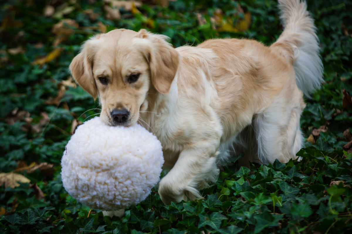 HuggleFleece Plush Ball Dog Toy