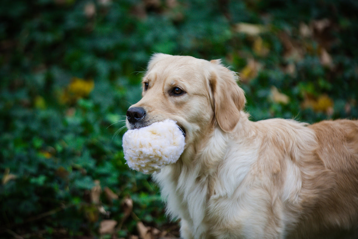 HuggleFleece Plush Ball Dog Toy