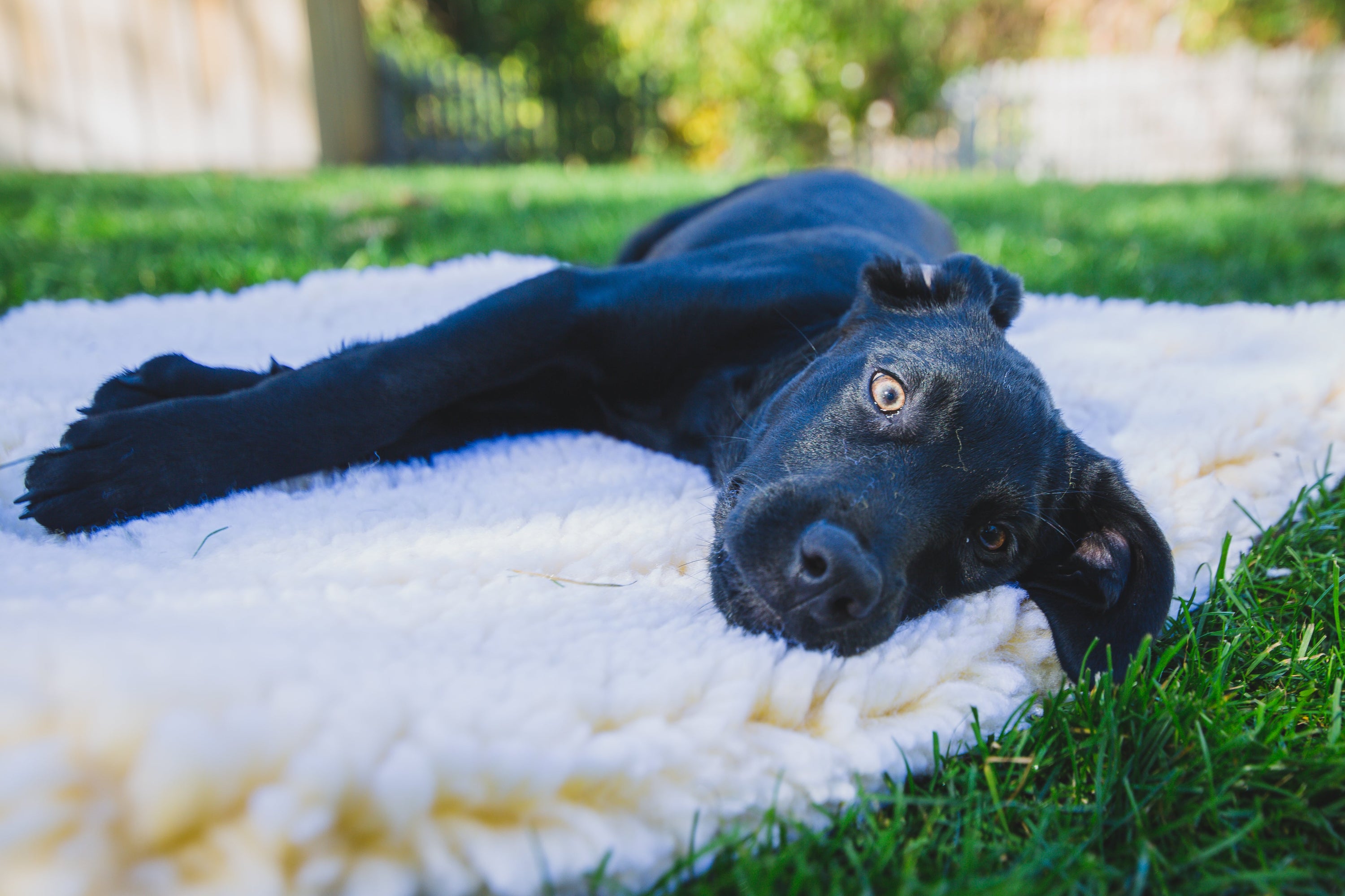 HuggleFleece Mat Cat & Dog Bed