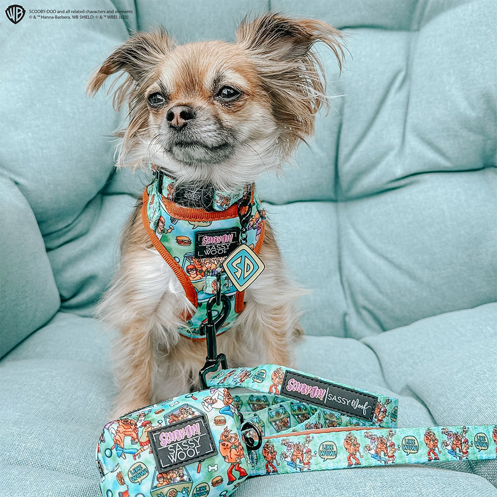 Dog Collar - Scooby-Doo™