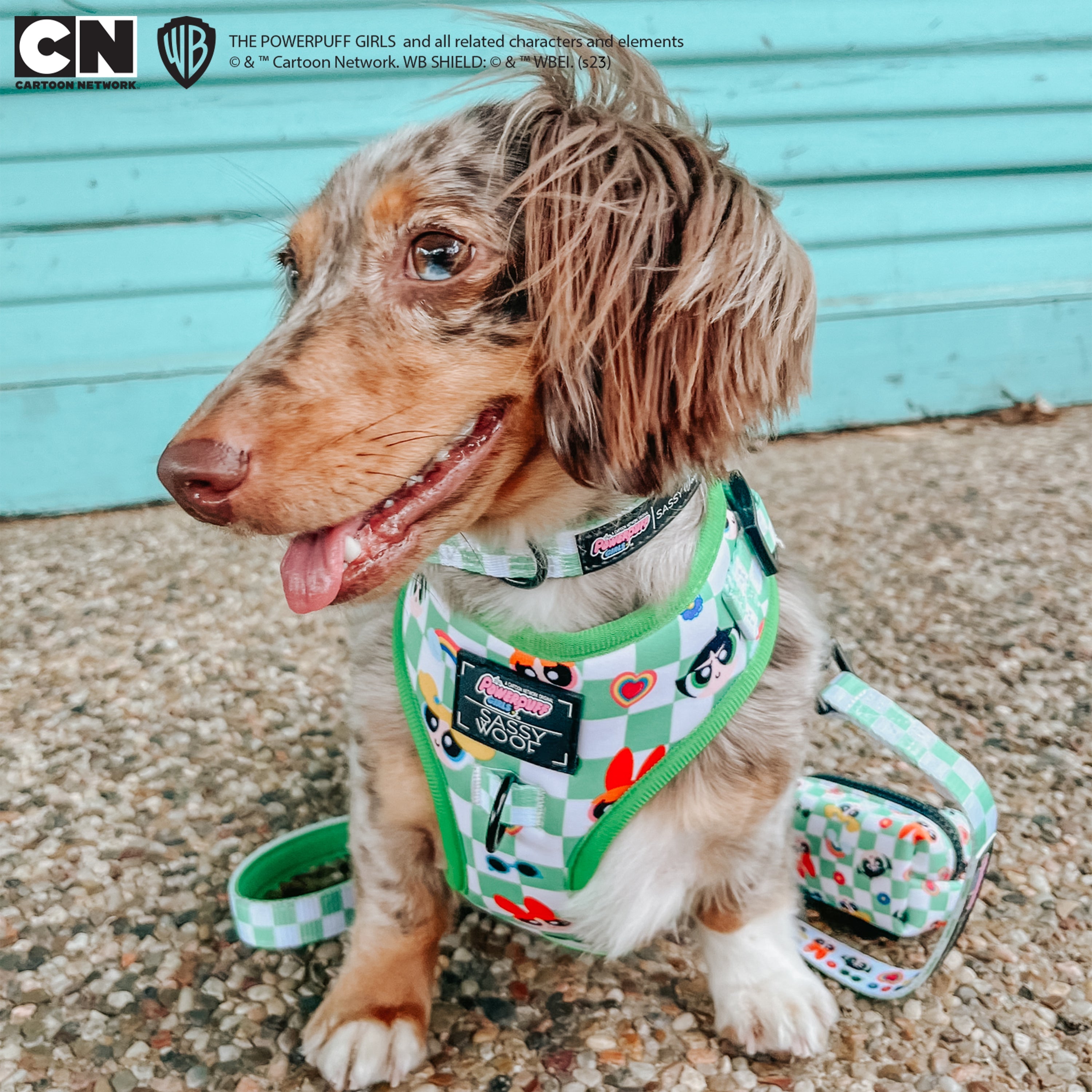 Dog Collar - The Powerpuff Girls™ (Green)