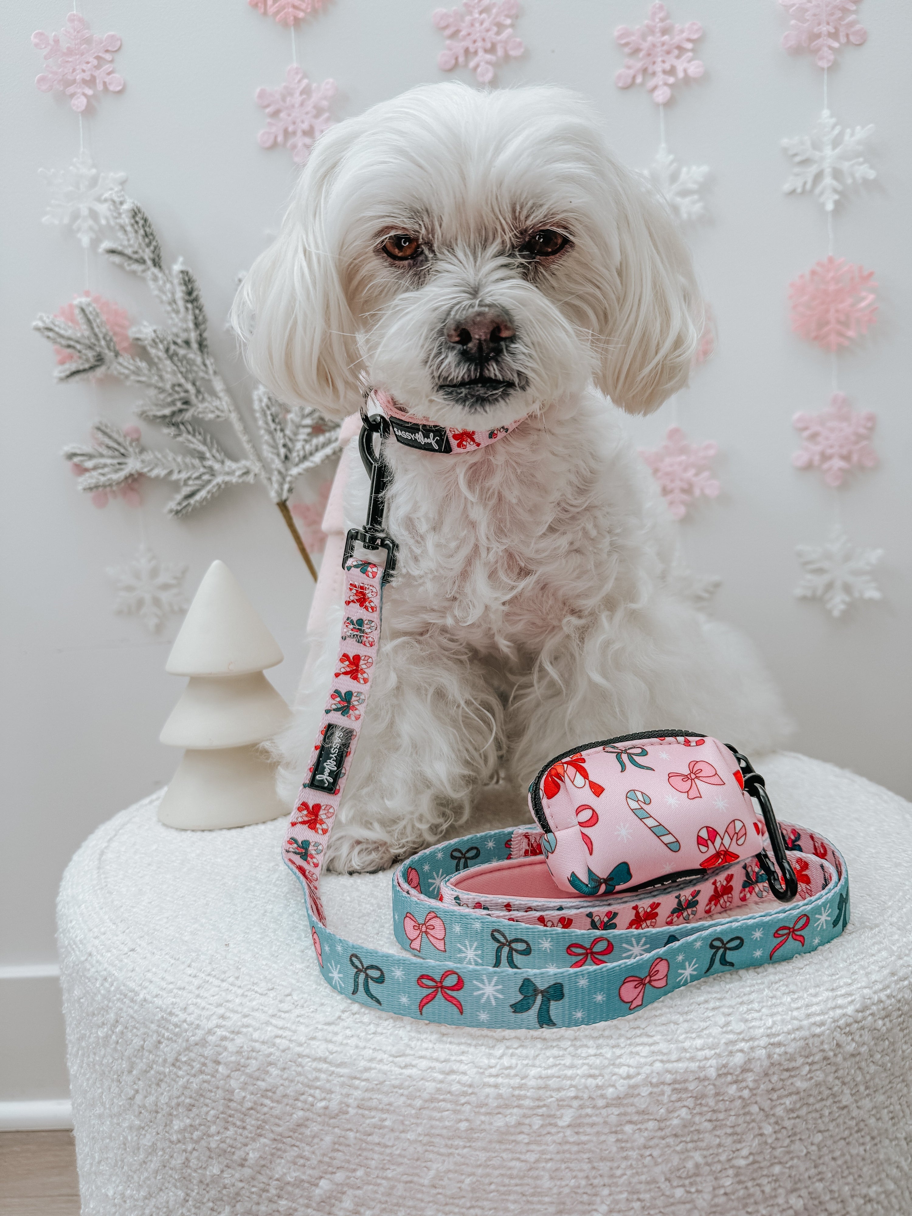 Dog Collar - Candy Cane Coquette