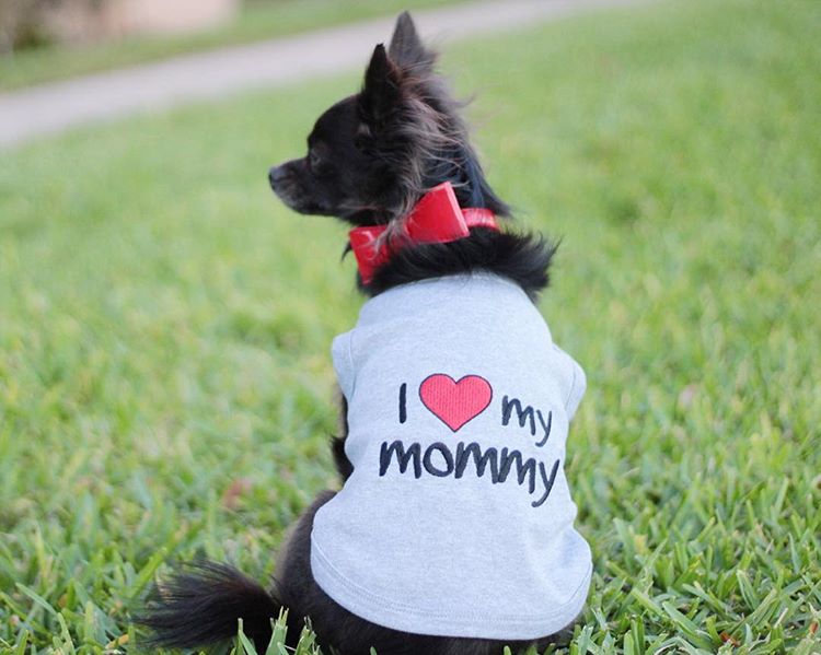 Parisian Pet I Love Mommy Embroidered Cotton T-shirt for Dogs & Cats  Gray-Valentines Day