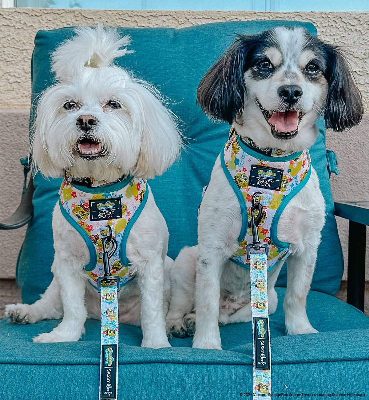 Dog Adjustable Harness - SpongeBob SquarePants™ Bikini Bottom