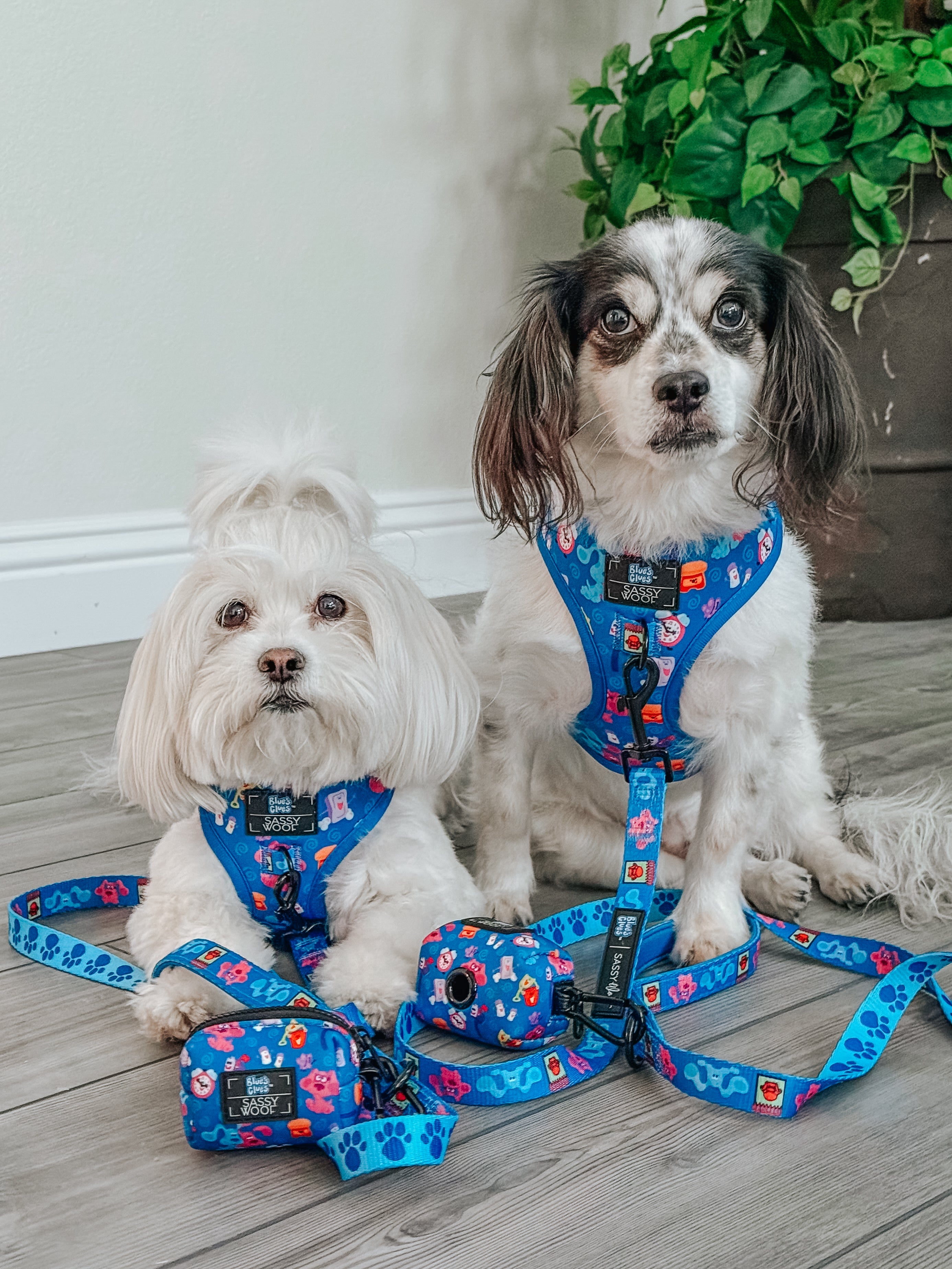 Dog Adjustable Harness - Blues Clues™