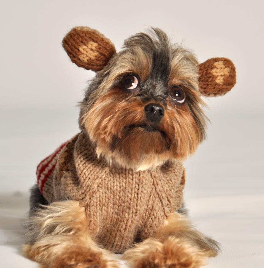 Chilly Dog Monkey Hoodie Dog Sweater