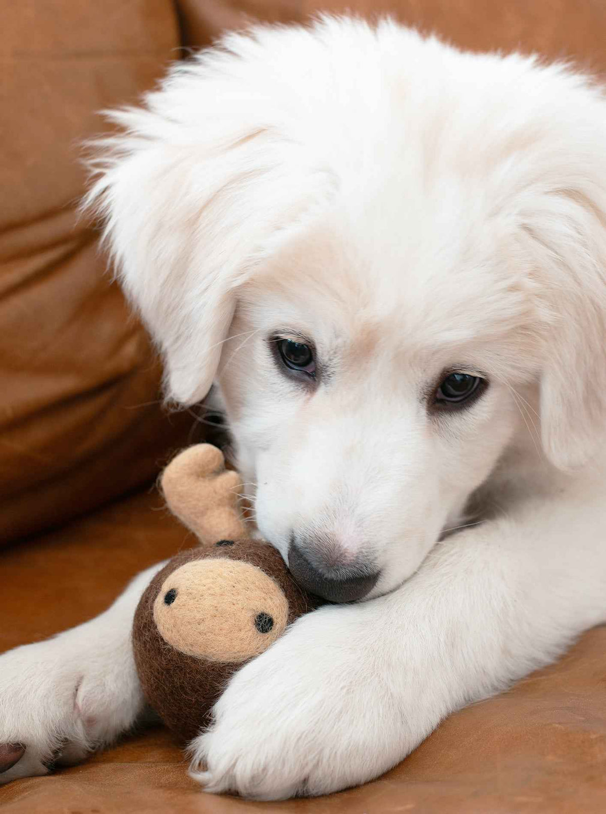 Moose Beastball Dog Toy