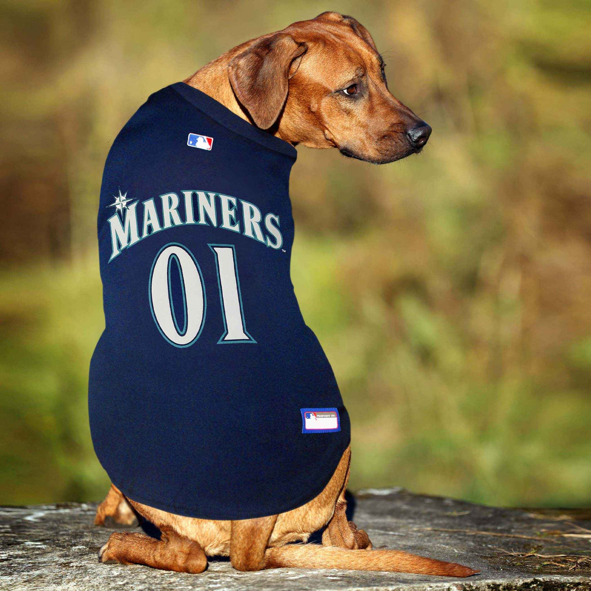 MLB Seattle Mariners Mesh Pet Jersey