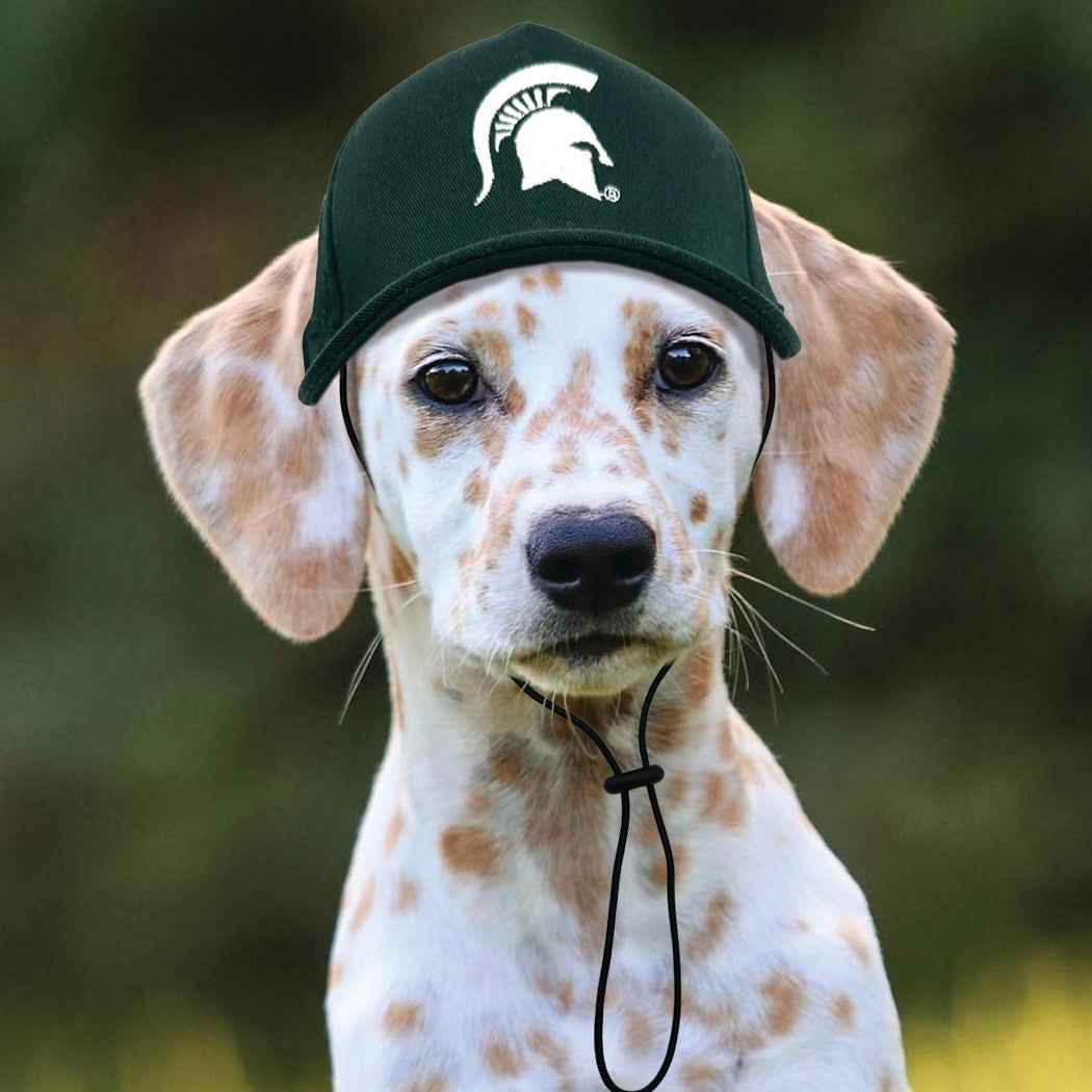 NCAA Michigan State University Spartans Dog Hat