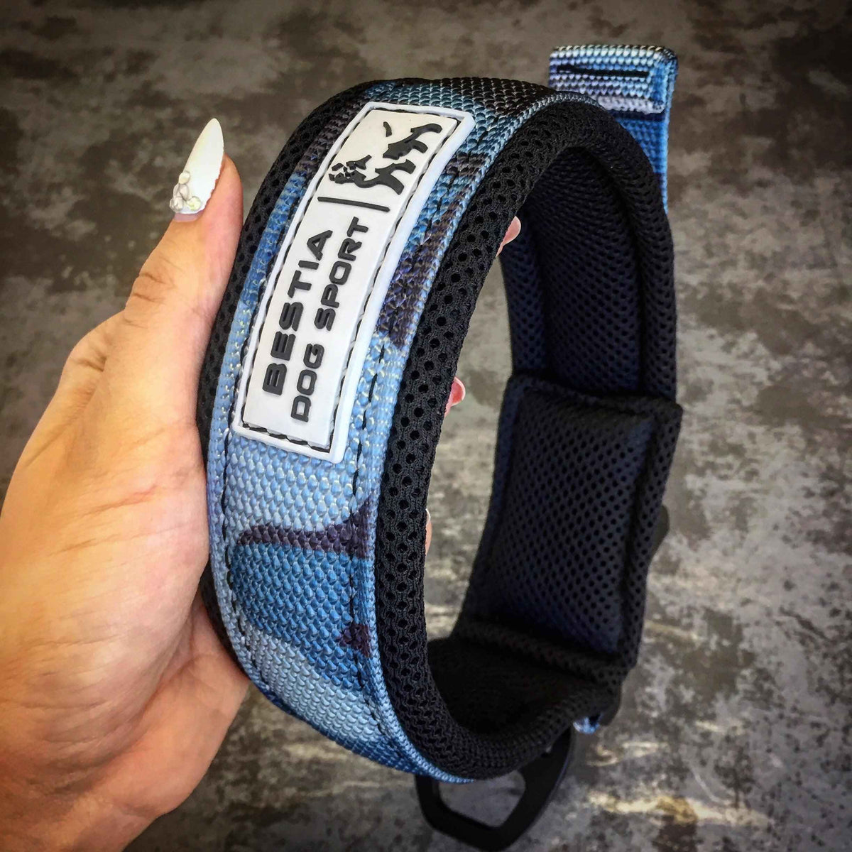Bestia Dog Sport Fast Release Blue Dog Collar