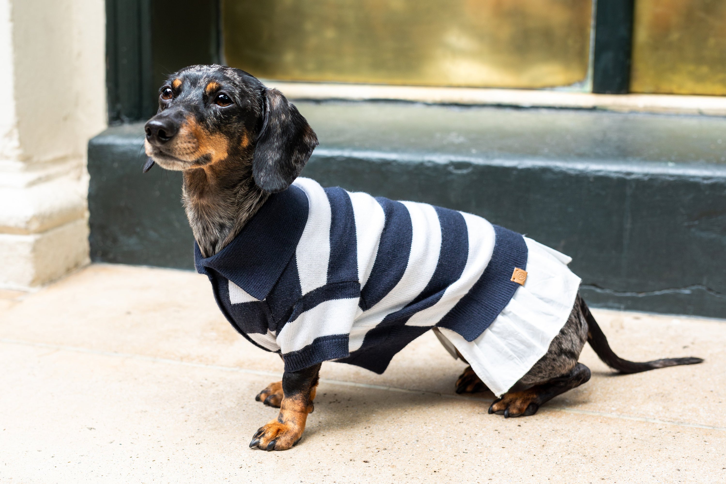 BESPOKE PAWS ‘Gladys’ Cashmere blend Polo Dress - Cotton Warm Comfort Luxury Sweater