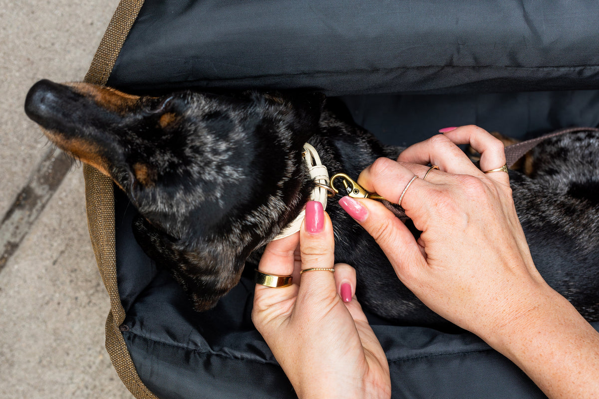BESPOKE PAWS The Daily Carrier - Packable Luxury for Life on the Go Pet Carrier | HT Animal Supply