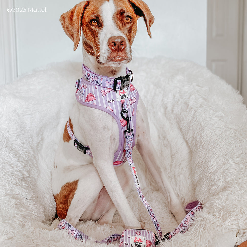 Dog Collar - BARBIE™ Closet Goals