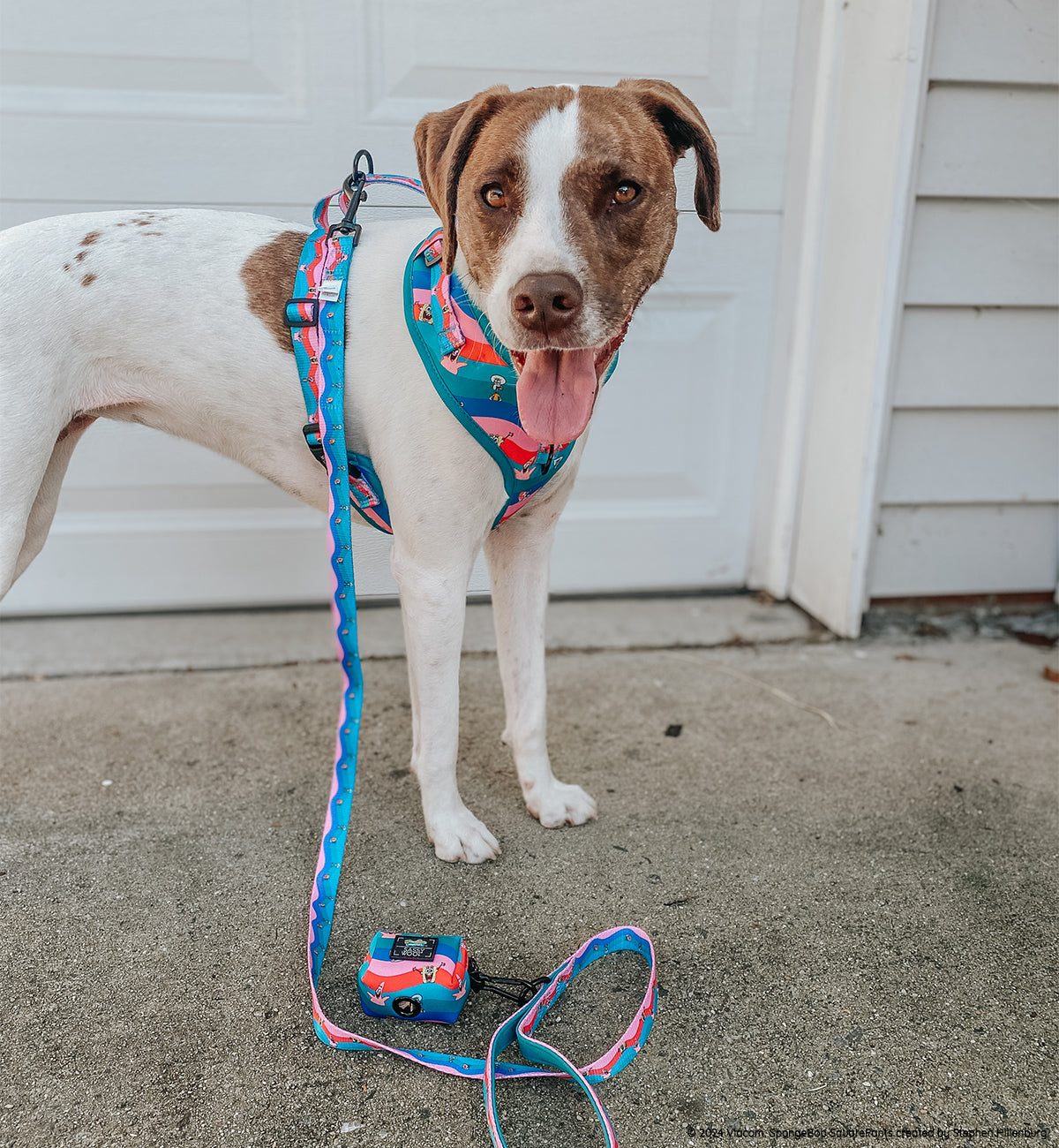 Dog Leash - SpongeBob SquarePants™ and Friends