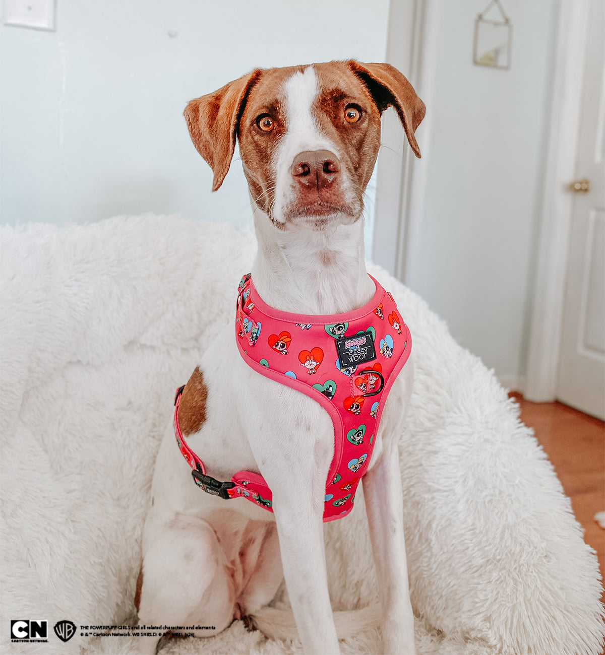 Dog Adjustable Harness - The Powerpuff Girls™ (Love)
