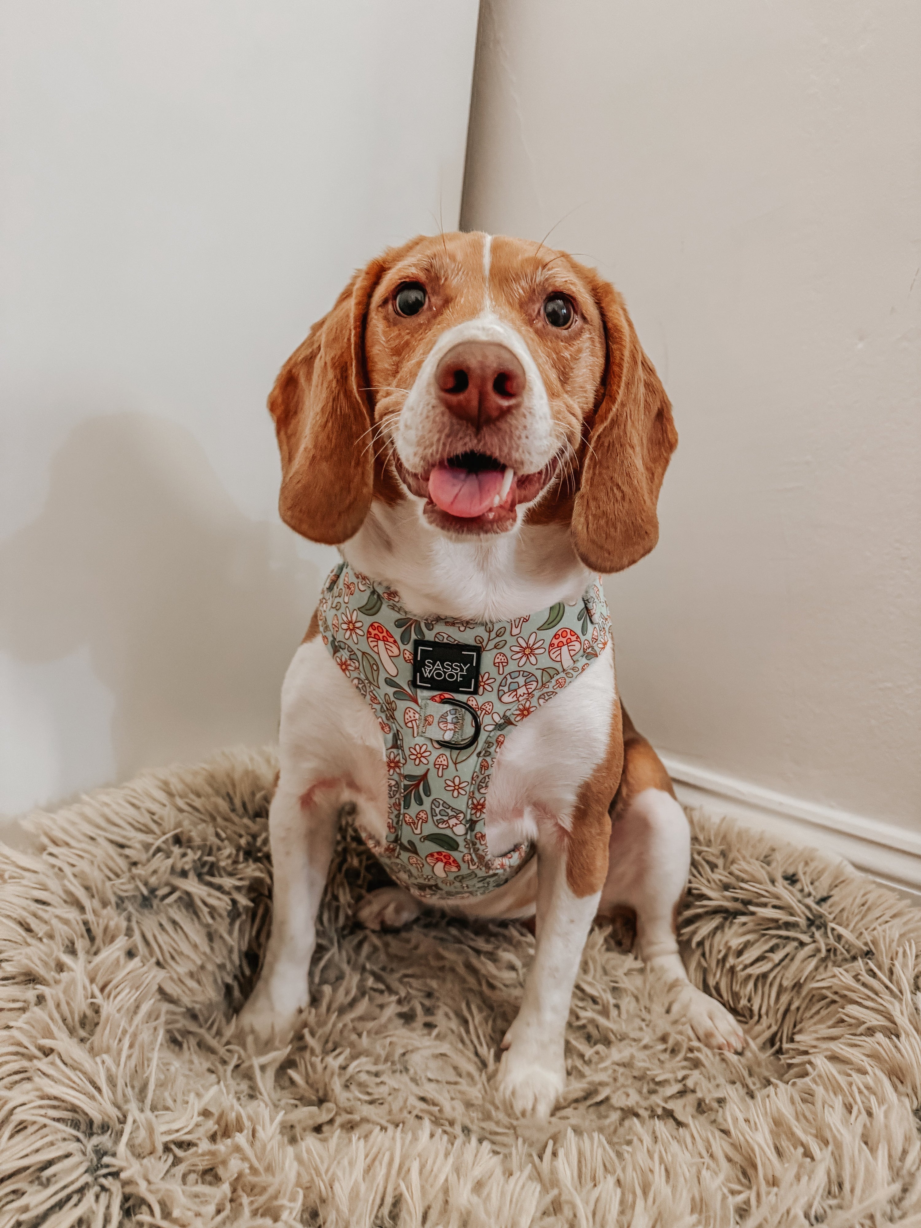 Dog Adjustable Harness - Shrooms & Blooms