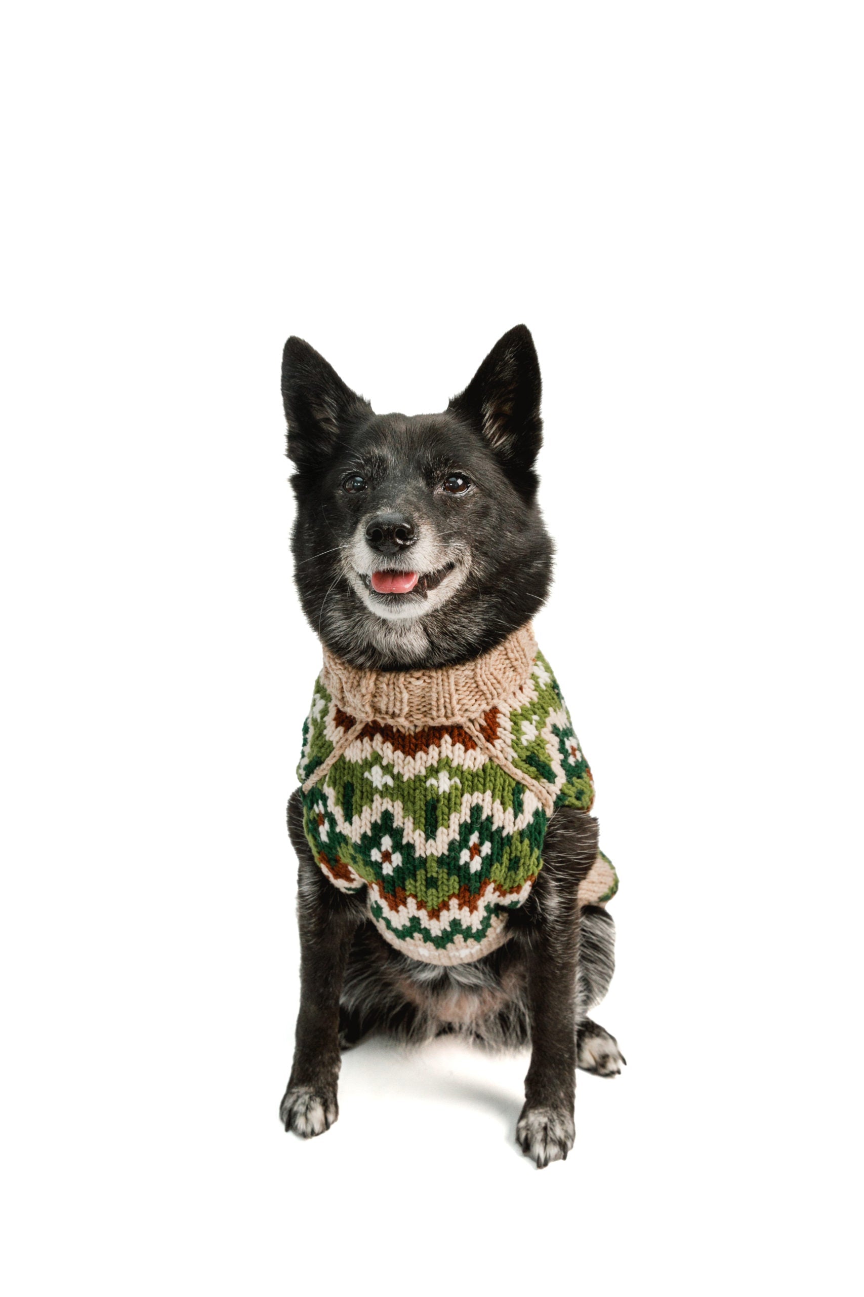 Ragg Wool Fair Isle Dog Sweater