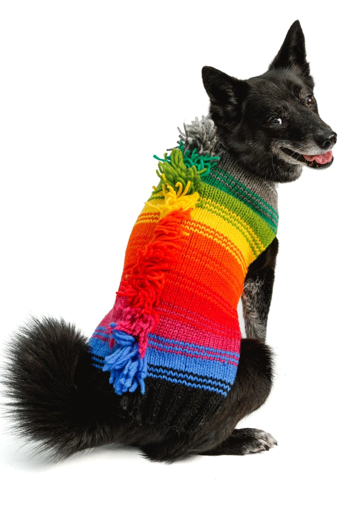 Chilly Dog Rainbow Mohawk Wool Dog Sweater