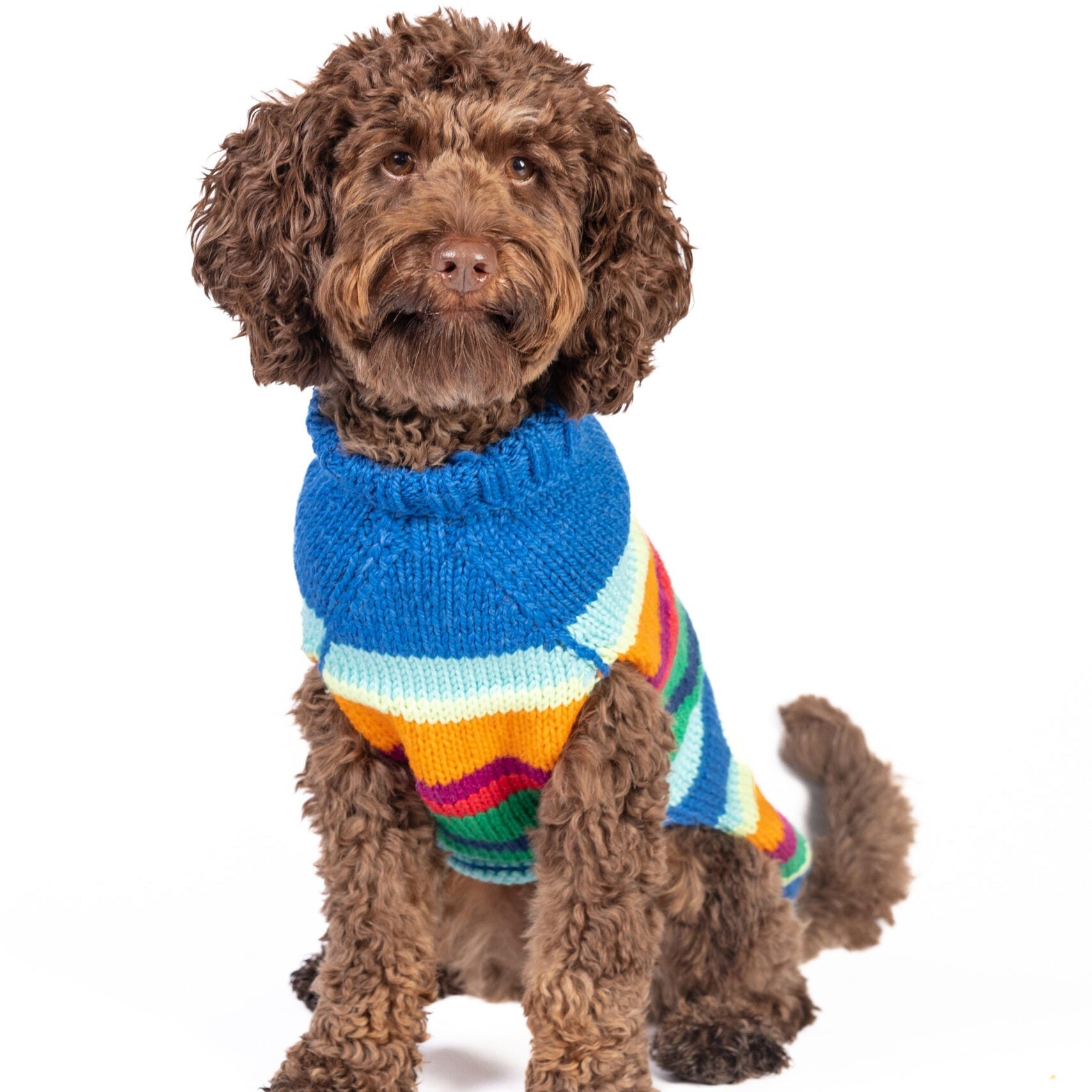 Chilly Dog Alpaca Royal Stripe Dog Sweater