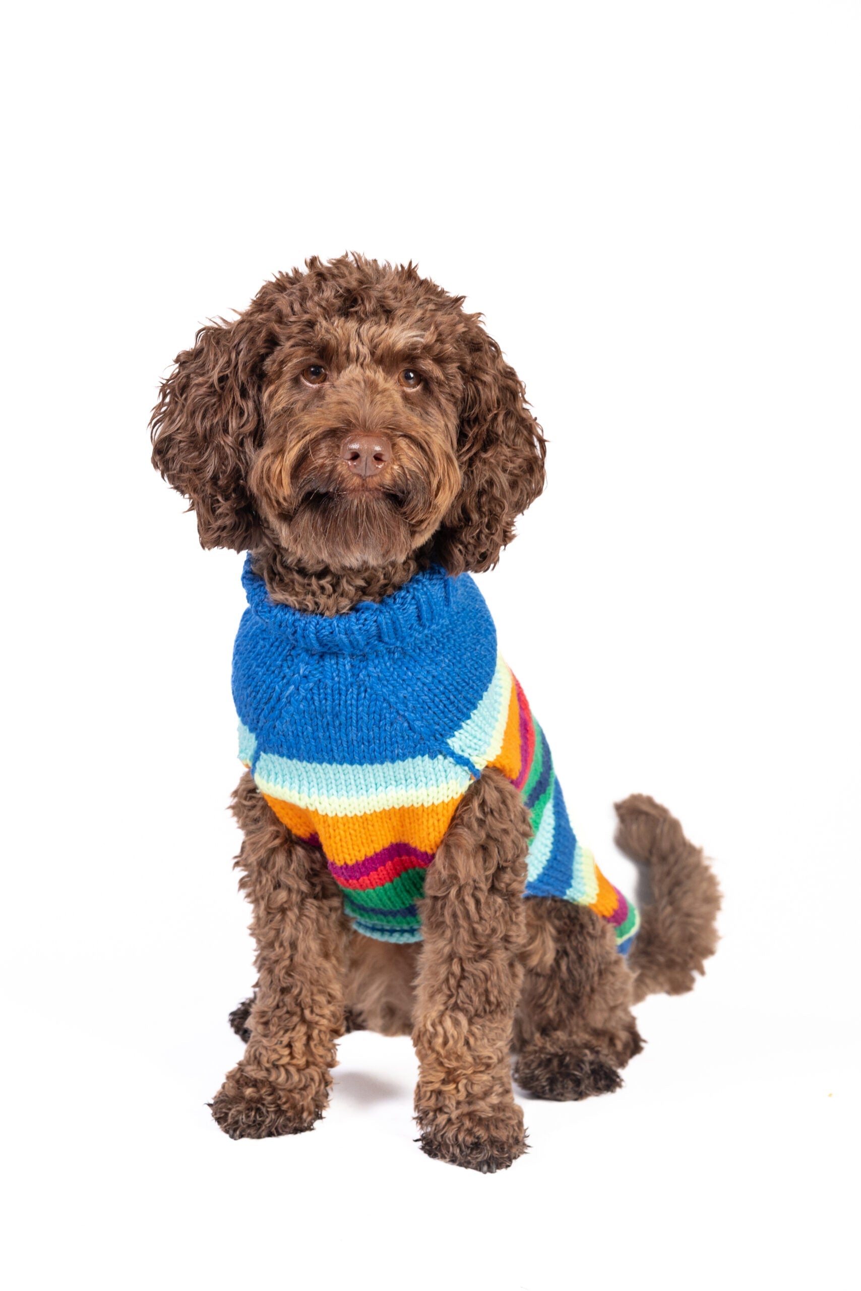 Alpaca Royal Stripe Dog sweater