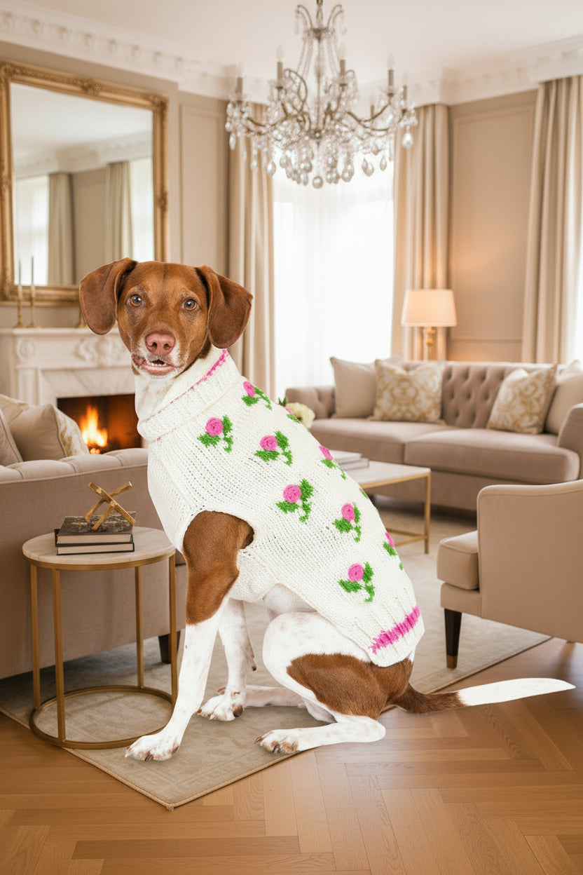 Dog wearing a white sweater with pink floral patterns on a white background