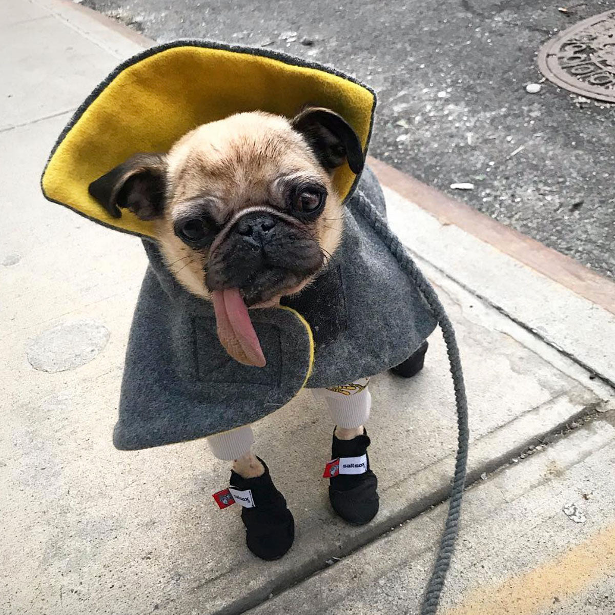 Saltsox 2025 / Blizzard Black