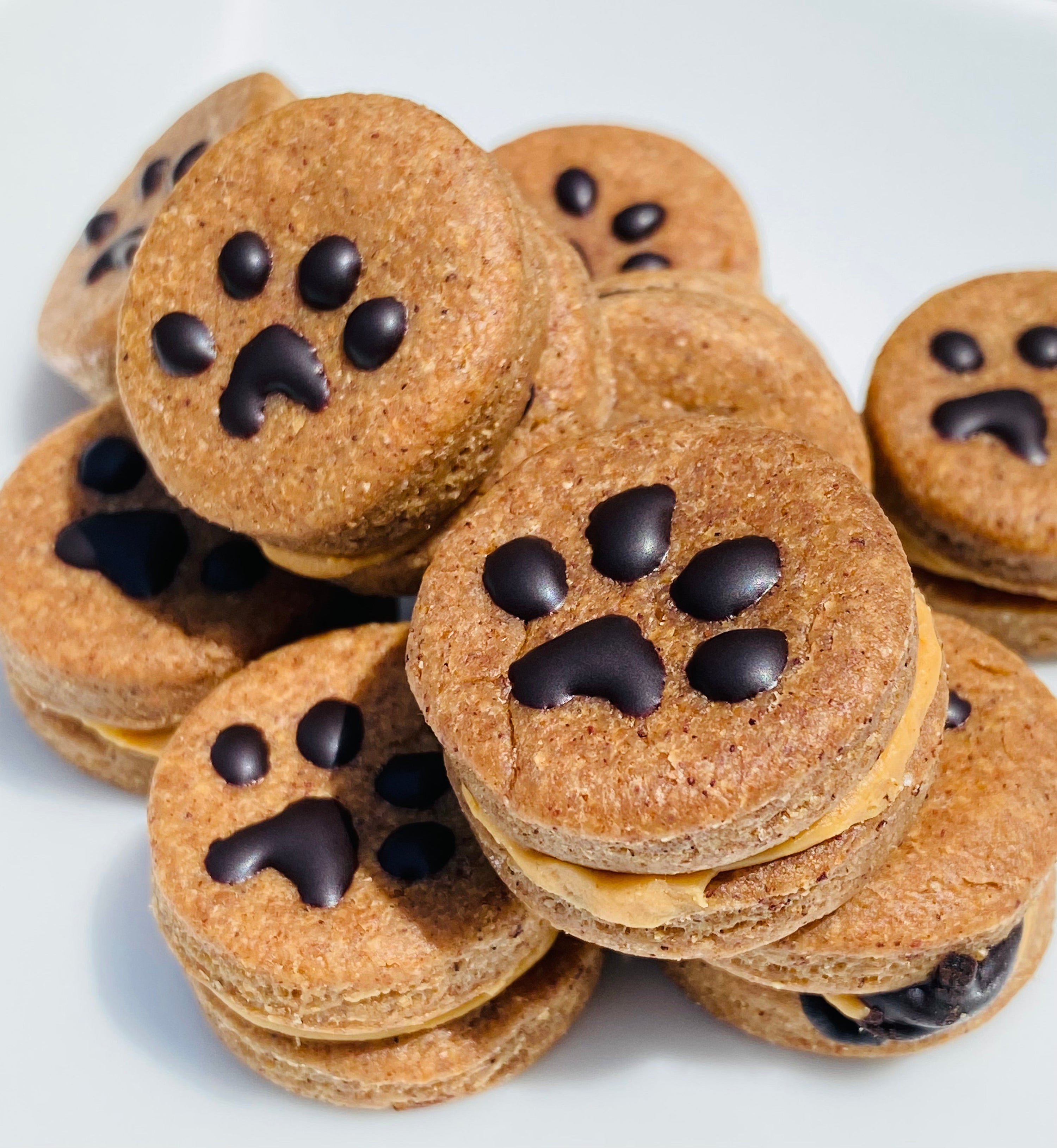 Tootsies & Treats Peanut Butter Macaroons (6oz) - HT Animal Supply