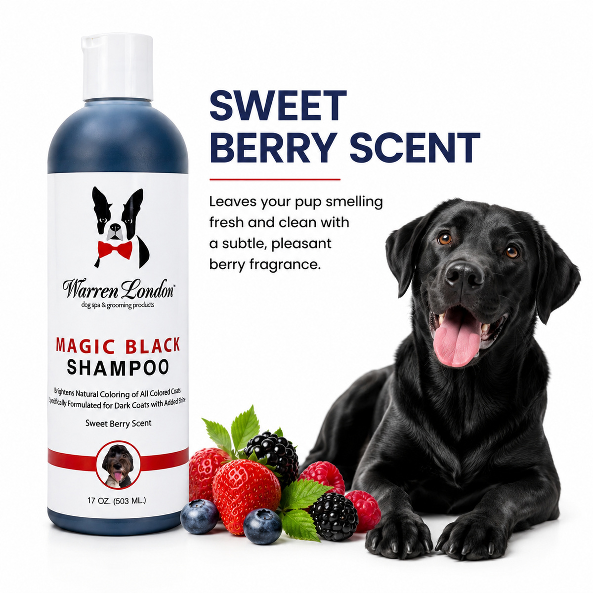 Magic Black Brightening Dog Shampoo | HT Animal Supply
