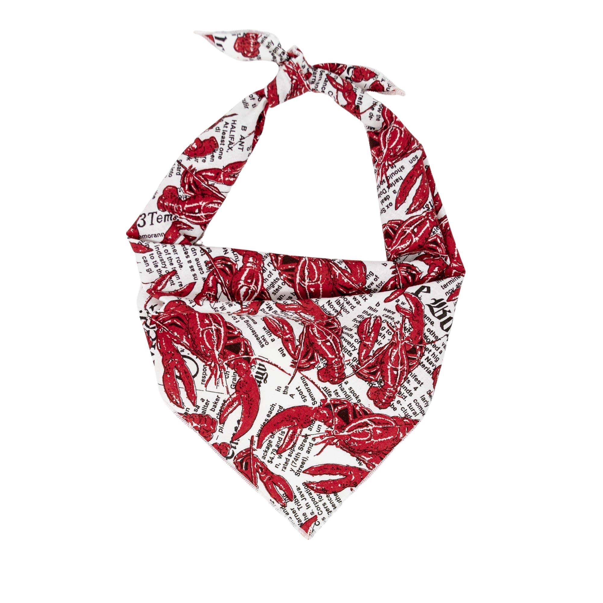 Main Lobster Dog Bandana