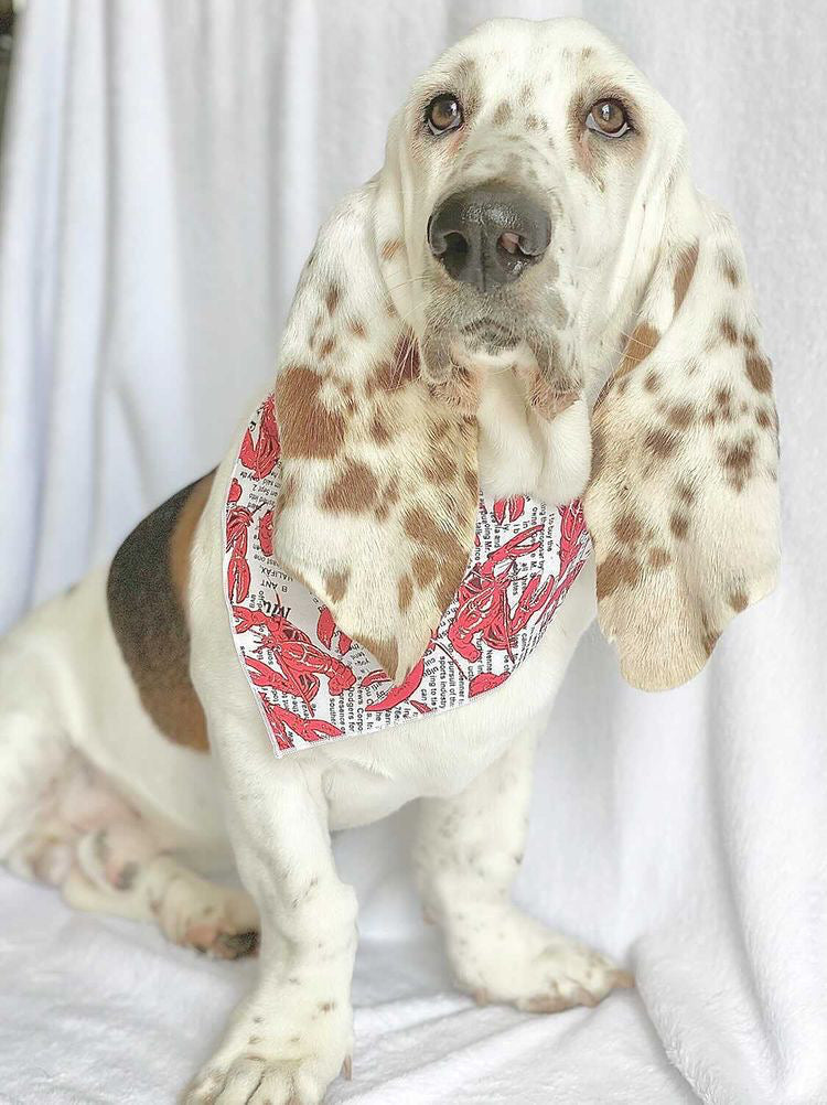 Main Lobster Dog Bandana
