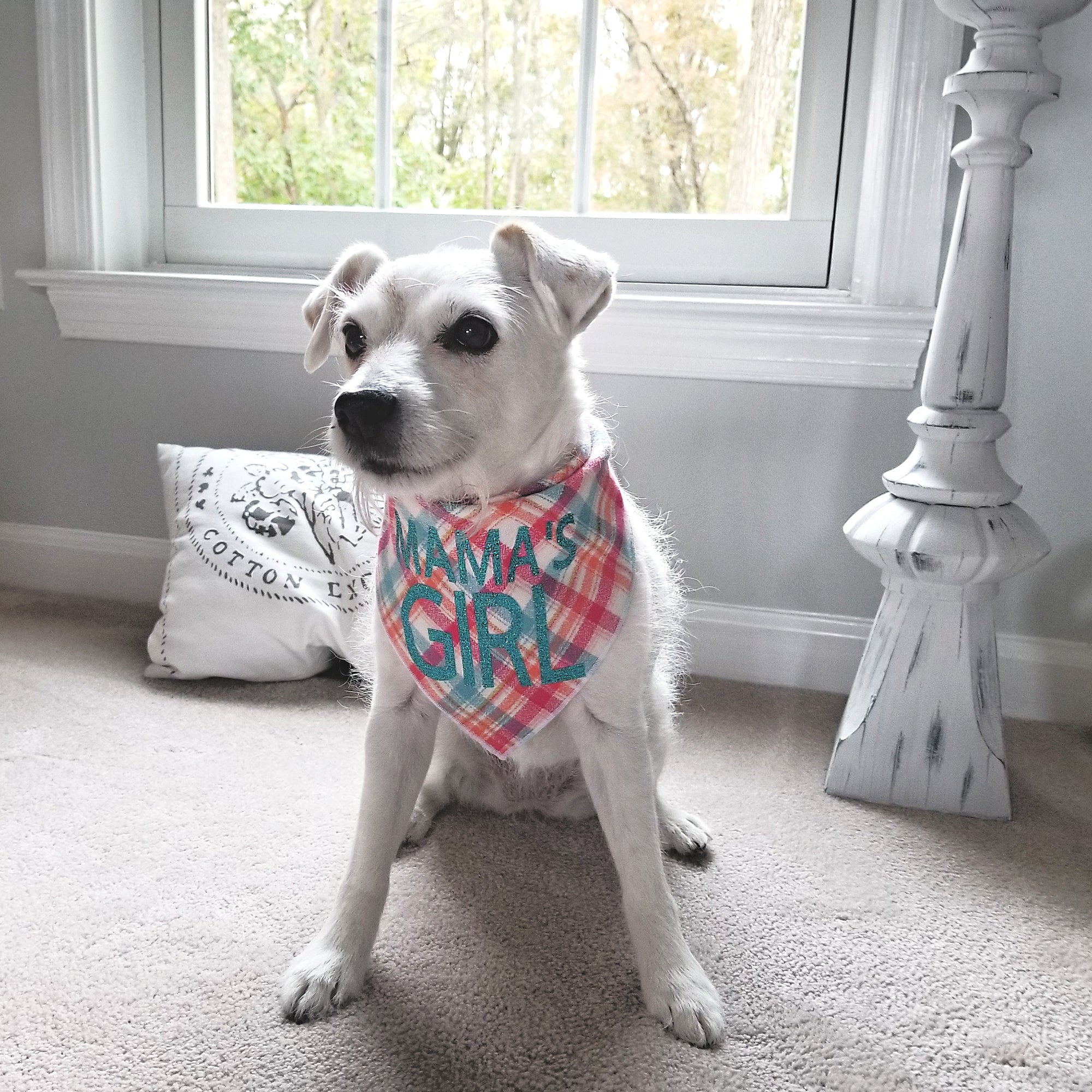 Mamas Girl Luxe Flannel Dog Bandana