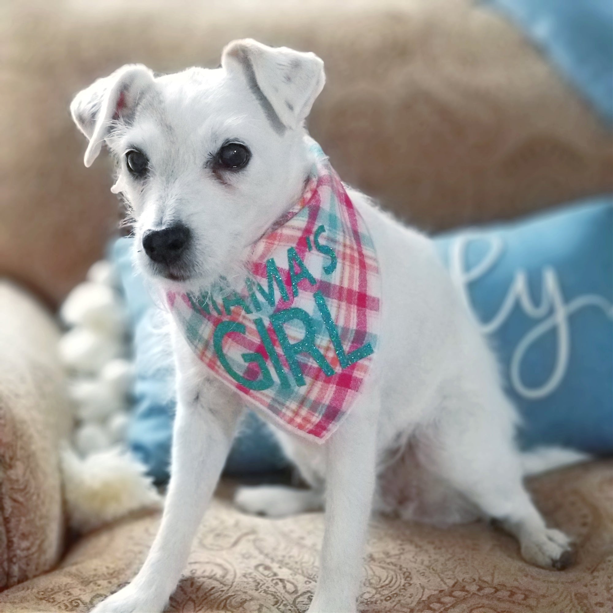 Mamas Girl Luxe Flannel Dog Bandana