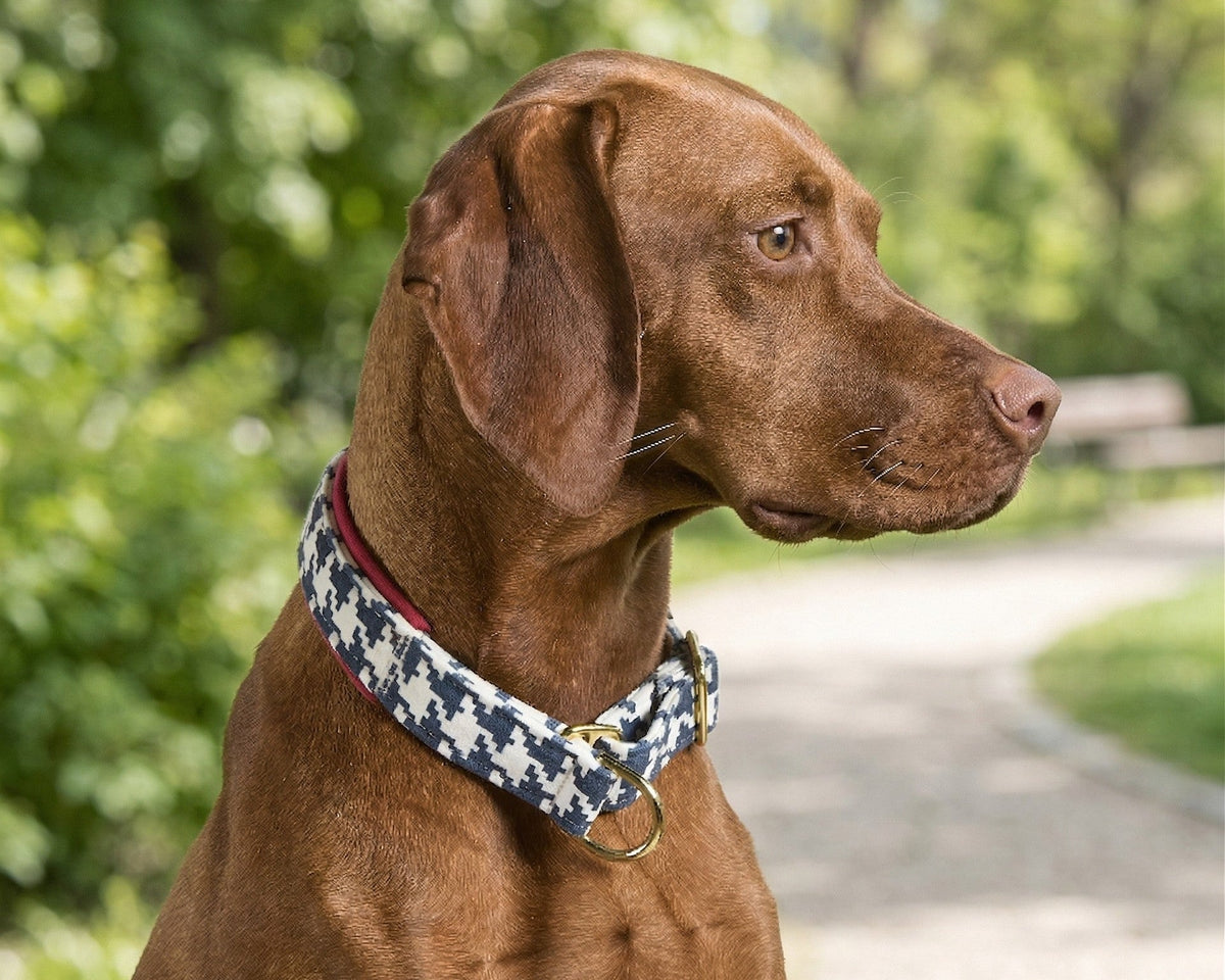 Bowsers Designer Slip Dog Collar - Adjustable Control with Designer Style