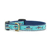Up Country Marlin Small Breed Dog Collar Made in USA