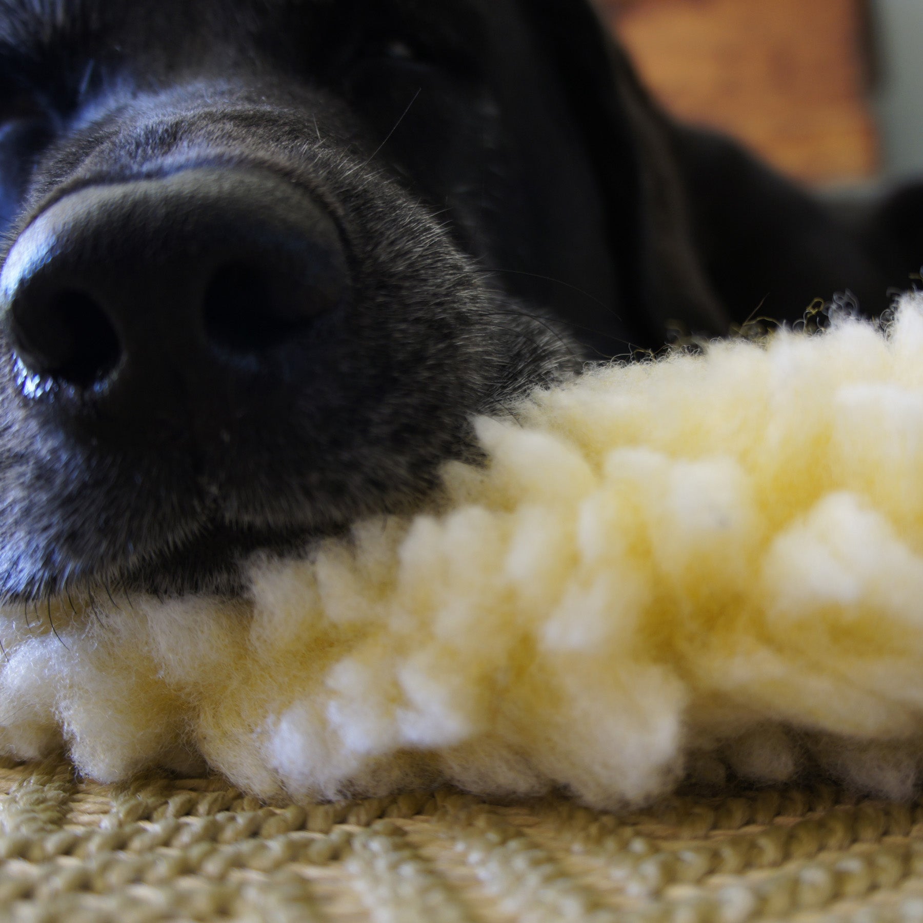 HuggleFleece Mat Cat & Dog Bed