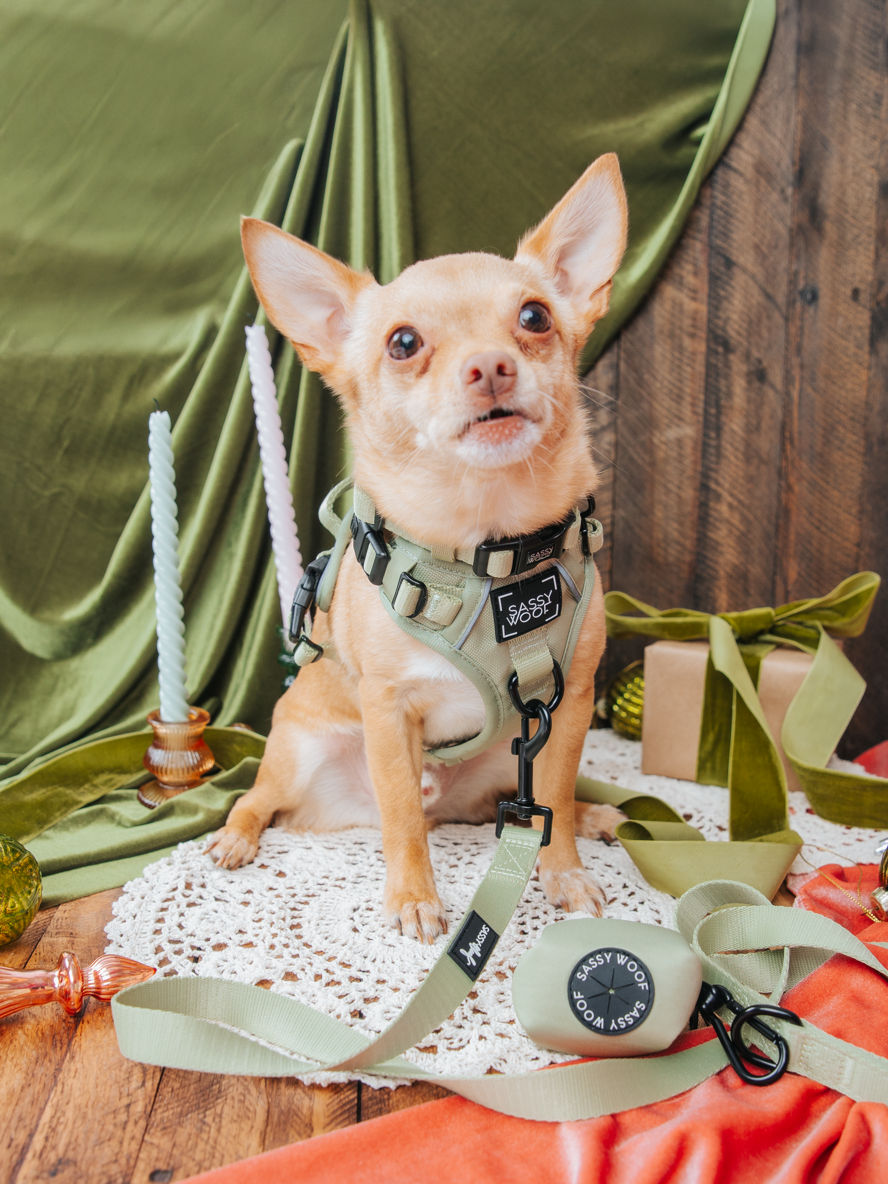 Dog Step-in Harness - Matcha