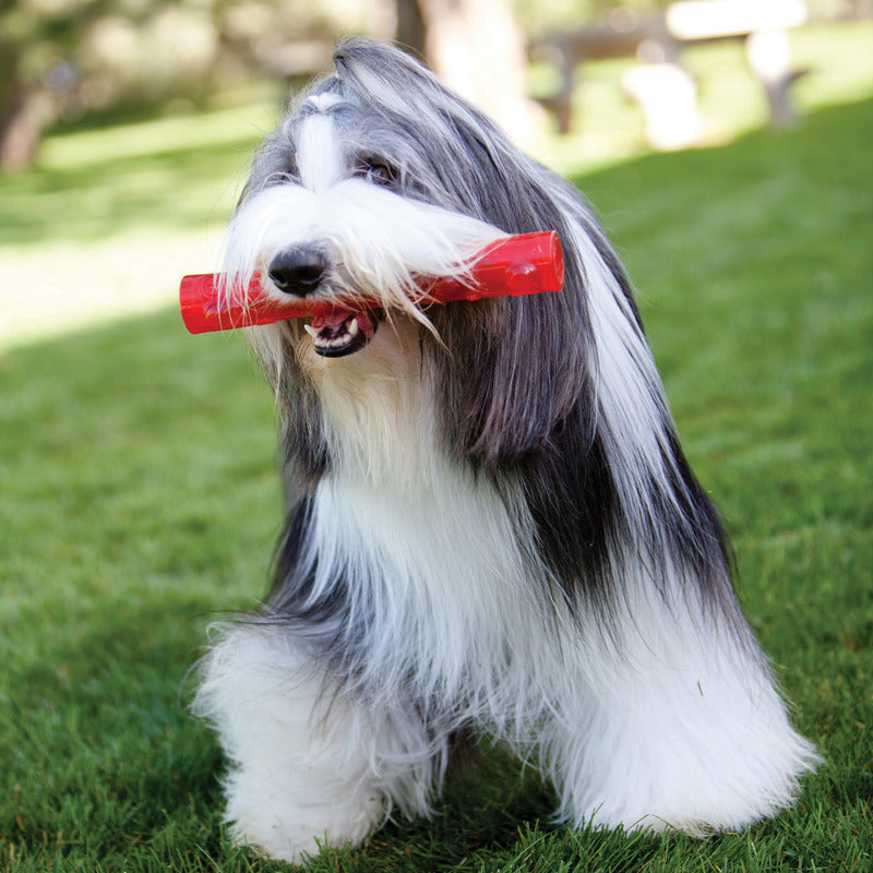 Kong Squeezz Ball - HT Animal Supply