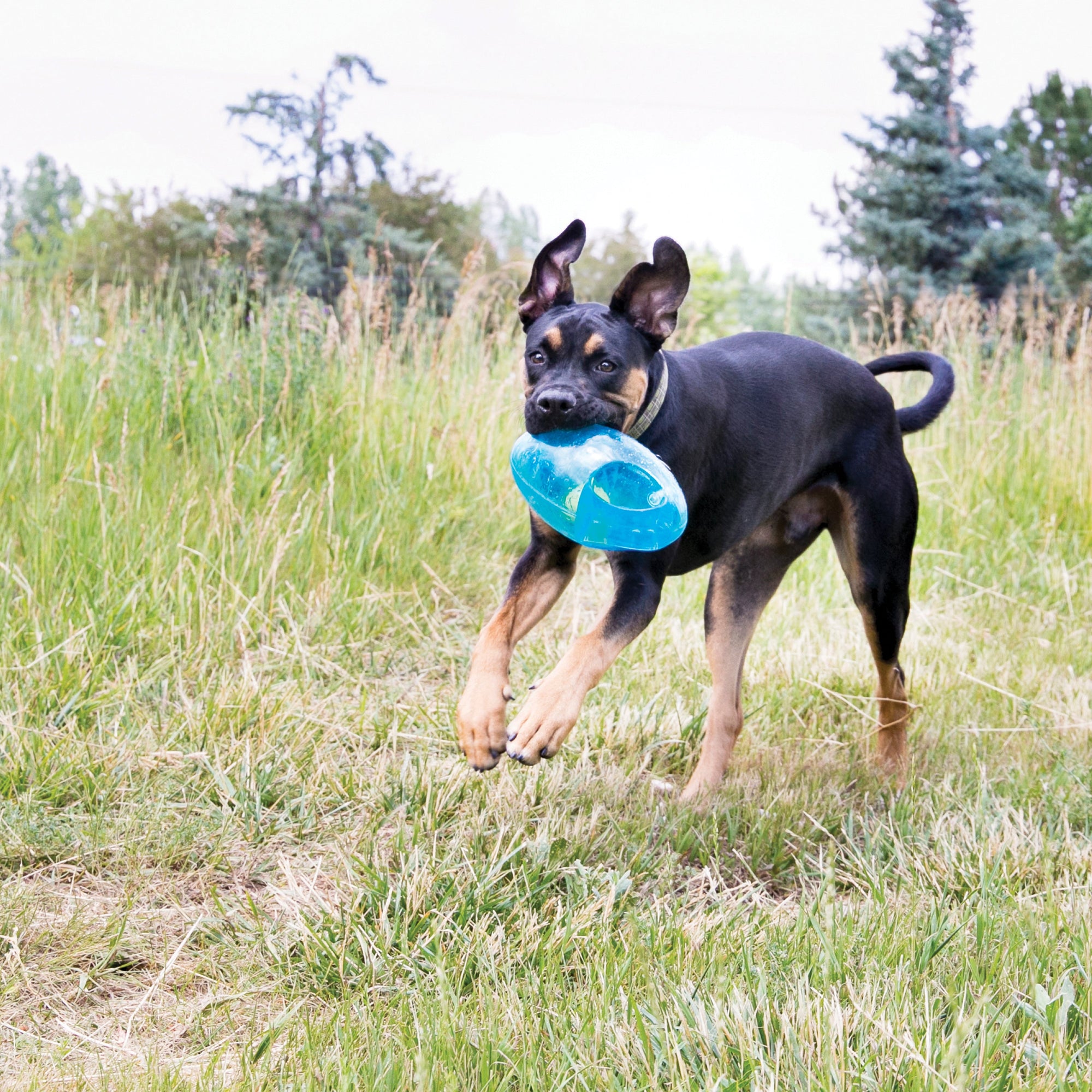 Kong Jumbler Football - HT Animal Supply