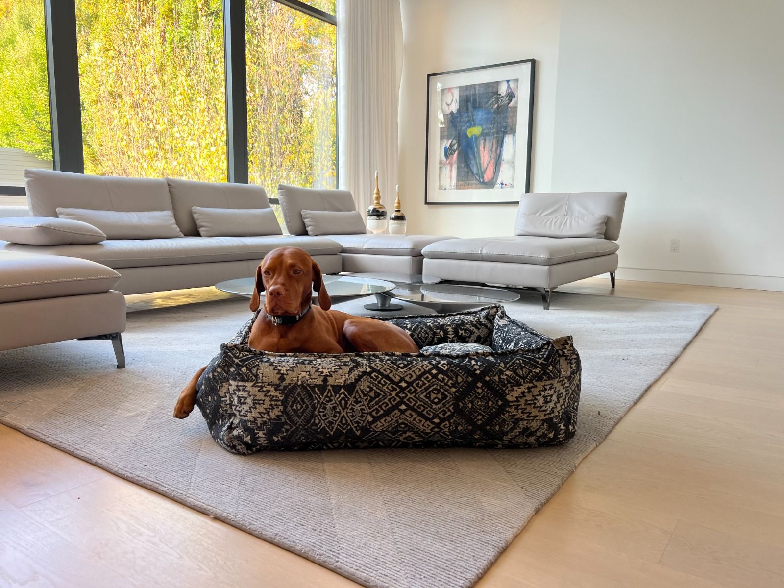 Mendocino B Lounge – Elevated Comfort, Effortless Style