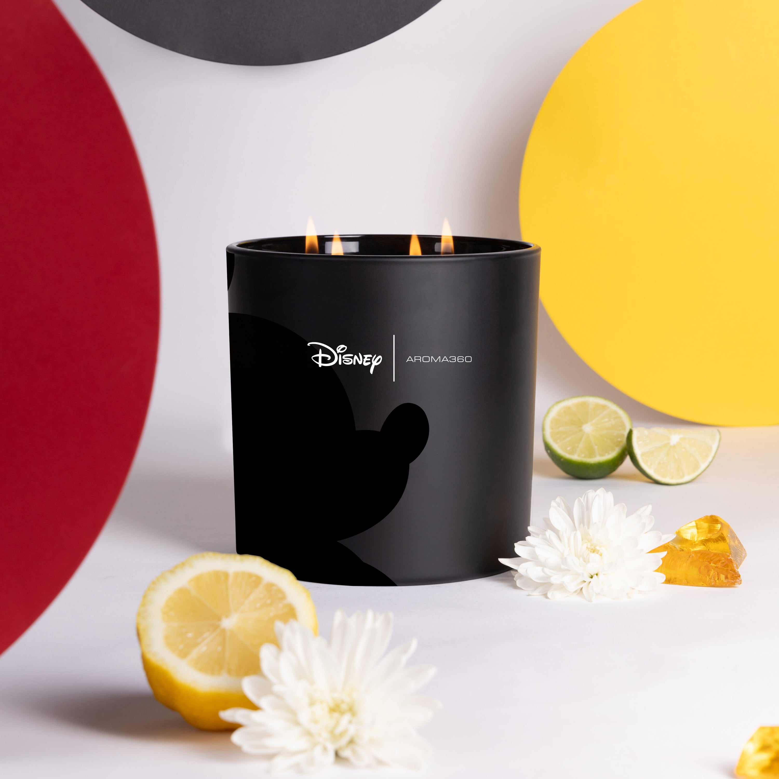 Started With A Mouse 4-Wick Candle - HT Animal Supply