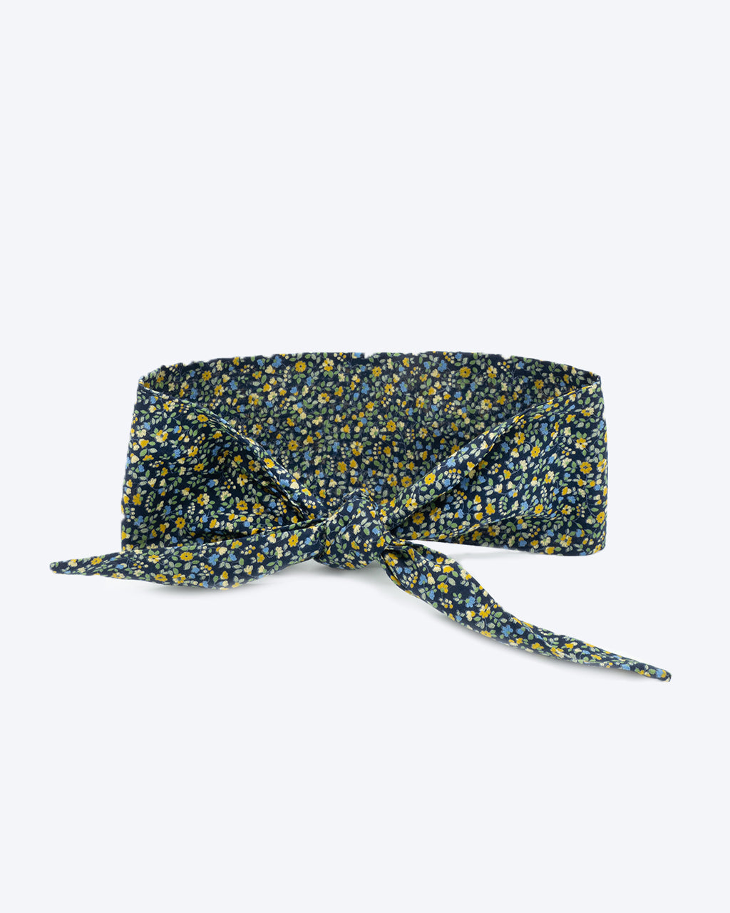 Adventure Necktie