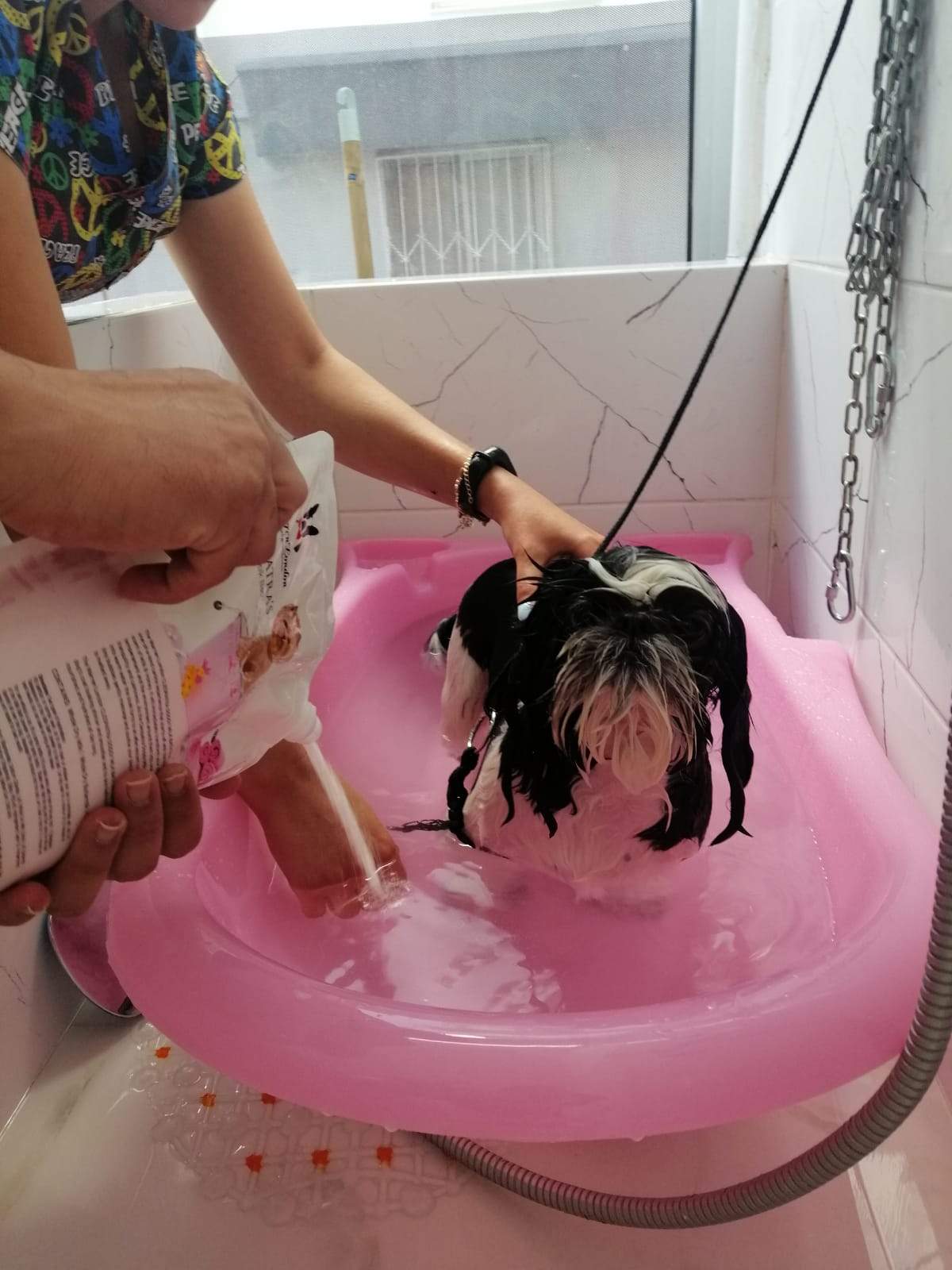 Cleopatras Doggy Milk Bath