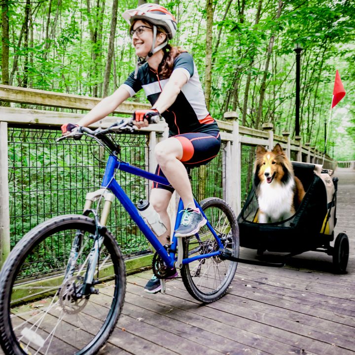 Minika 3-in-1 Pet Stroller System – Arizona Tan