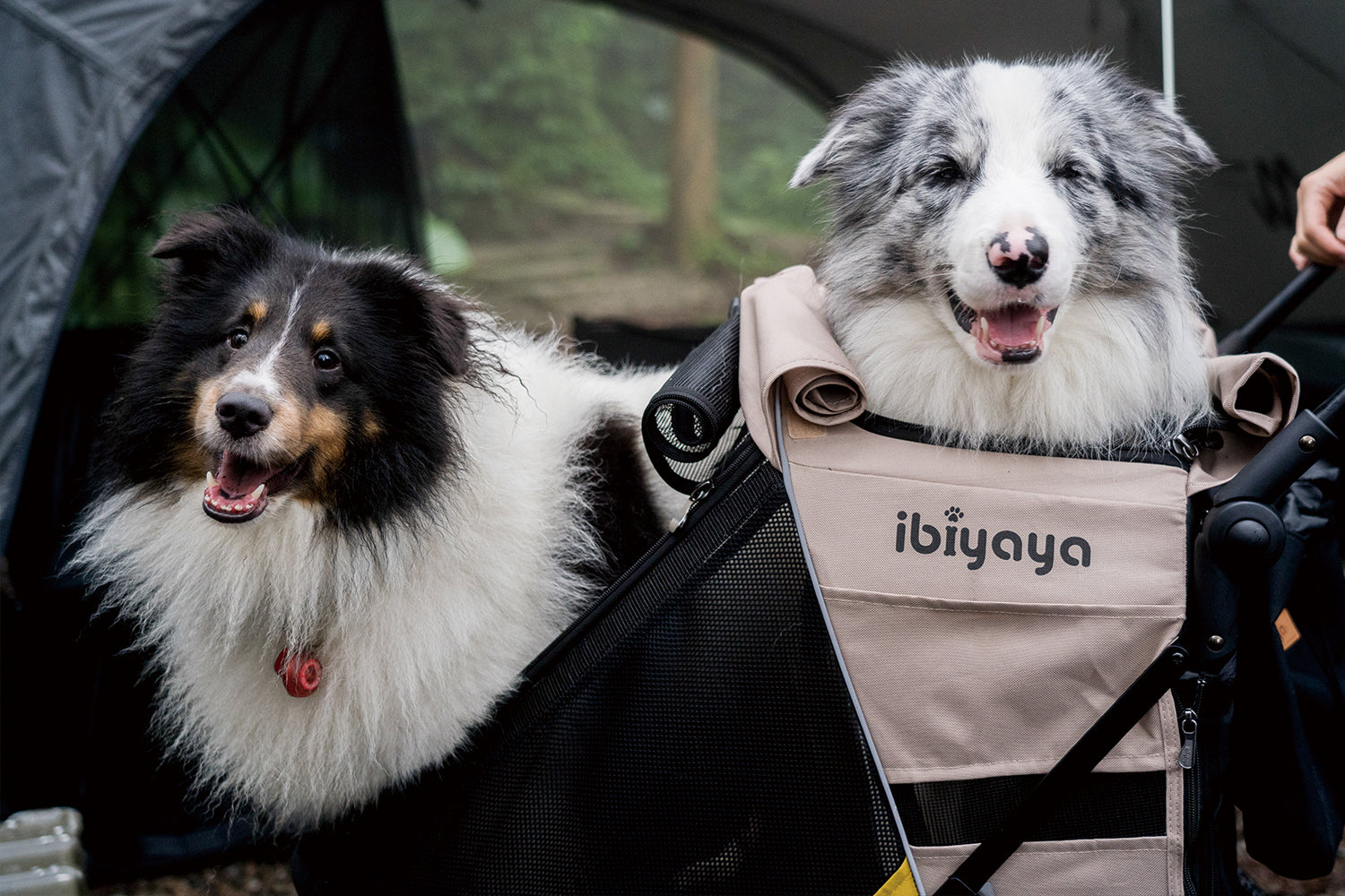 Minika 3-in-1 Pet Stroller System – Arizona Tan