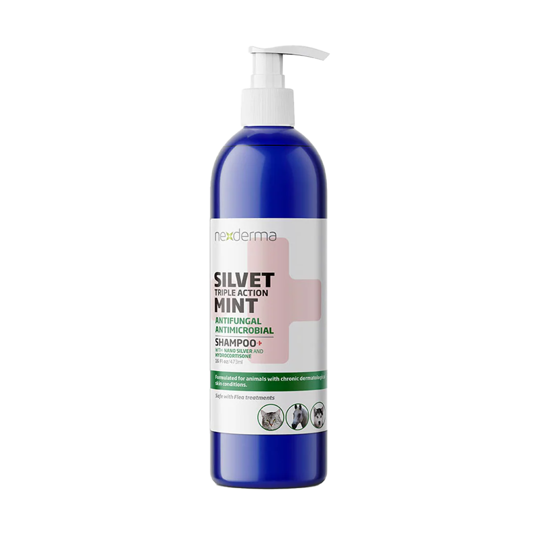 Mint Hydrocortisone Shampoo 16oz by Nexderma