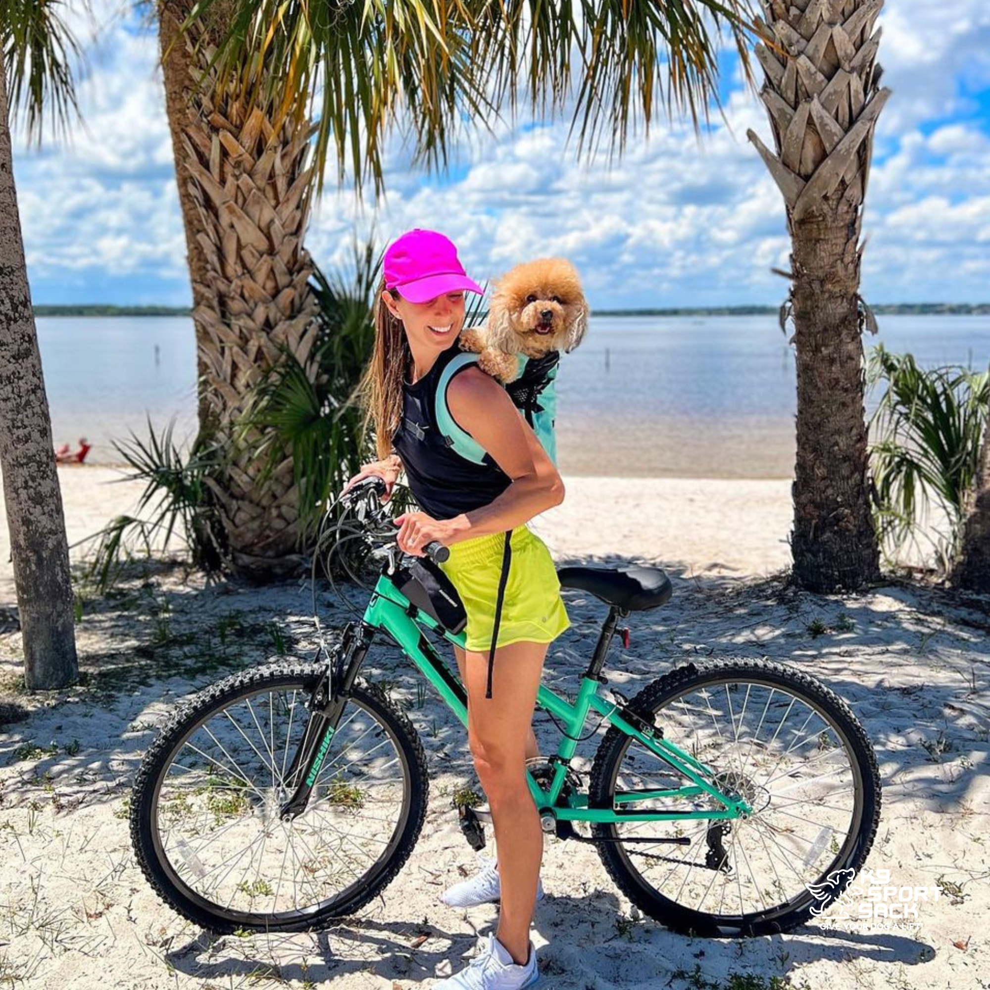 Air 2 | The Original Backpack Dog Carrier