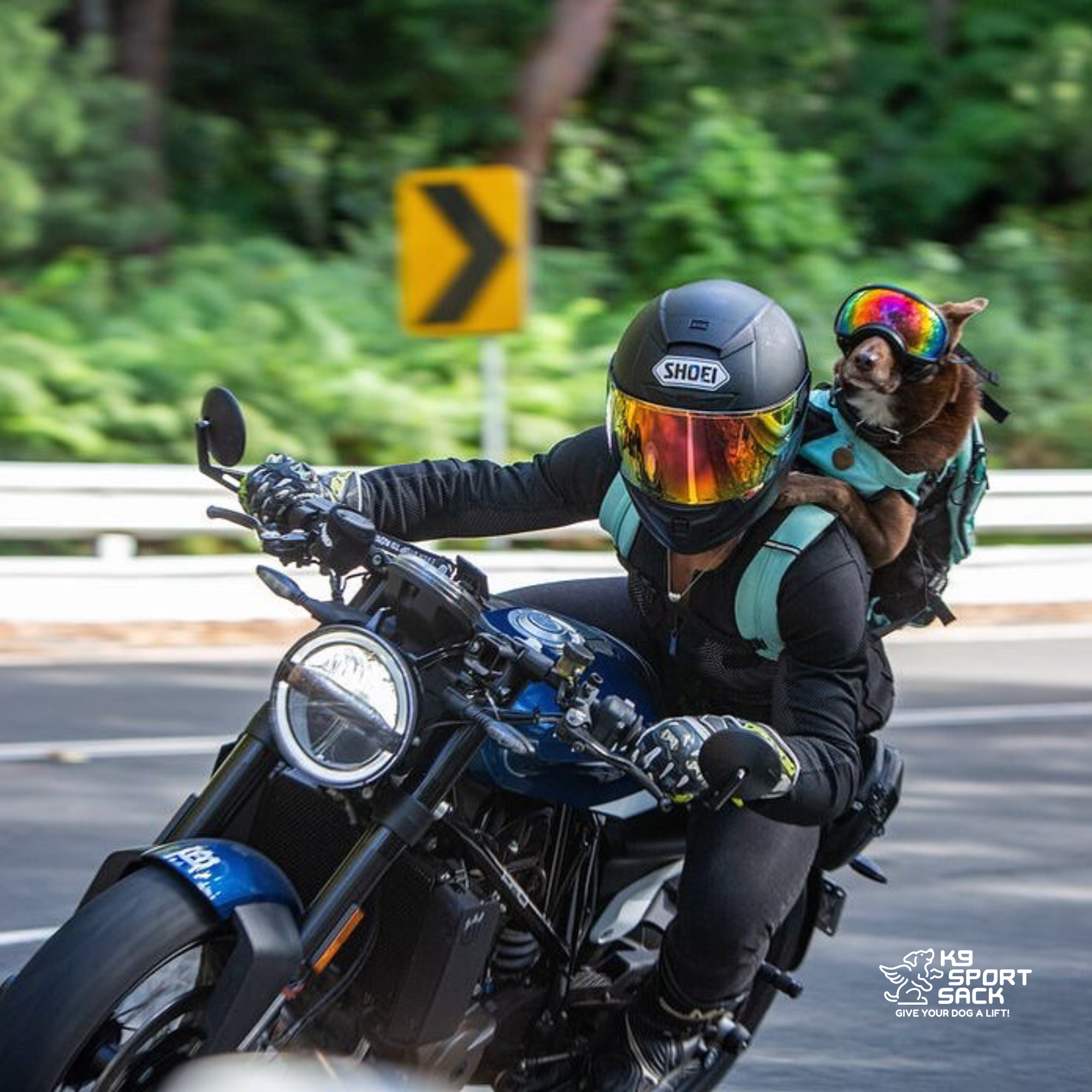 Plus 2 | Dog Carrier with Removable Storage