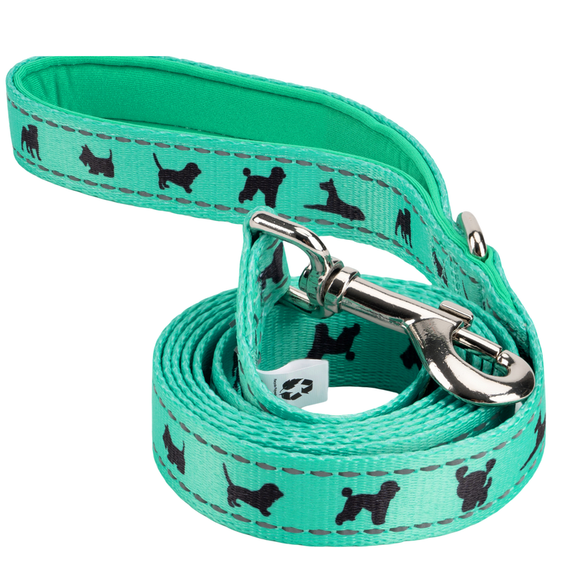 EcoBark – Mint Turquoise Comfort Grip Padded Dog Leash